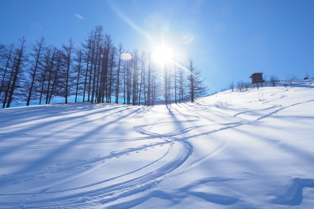 冬スキー場新潟